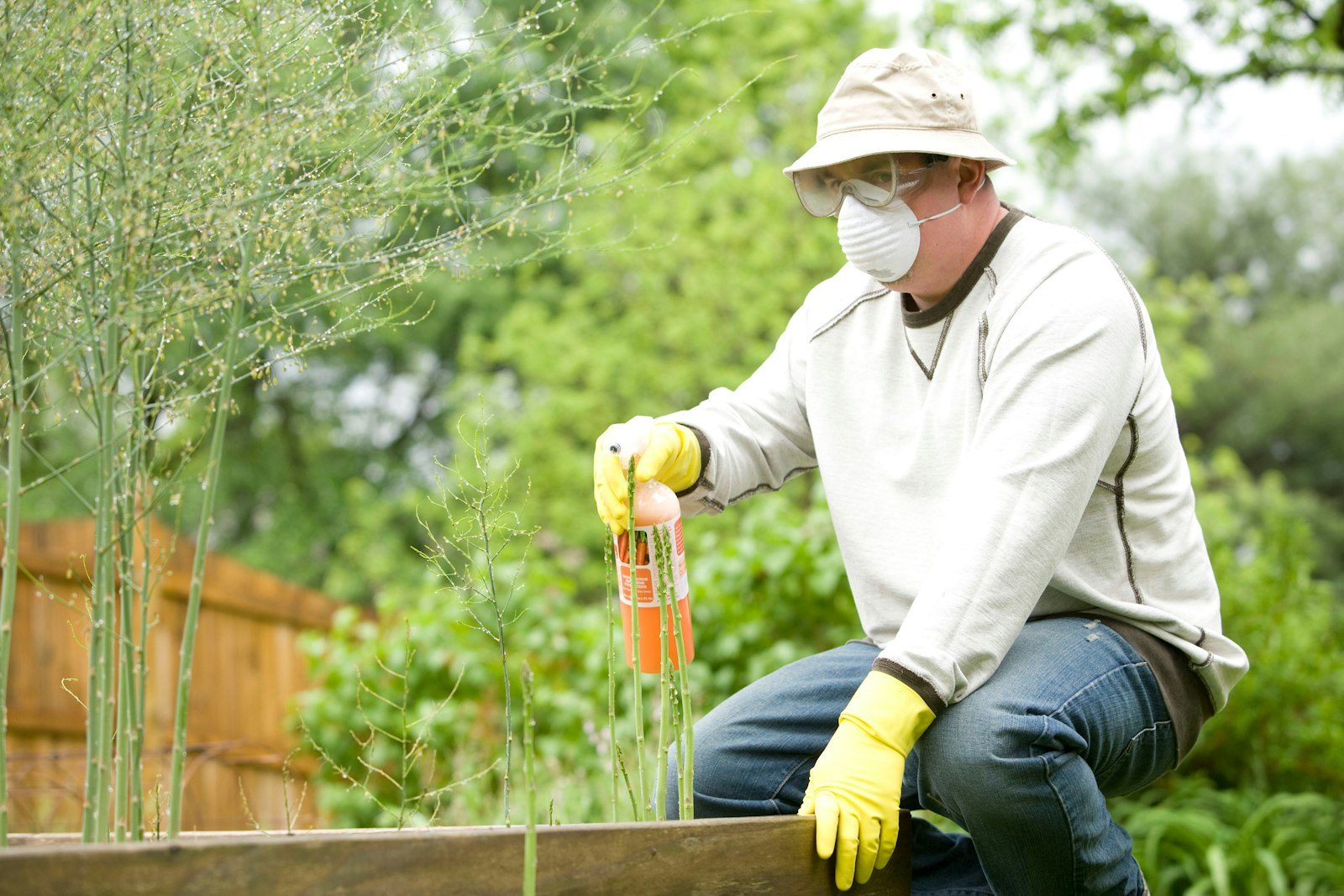 Pest control technician on site